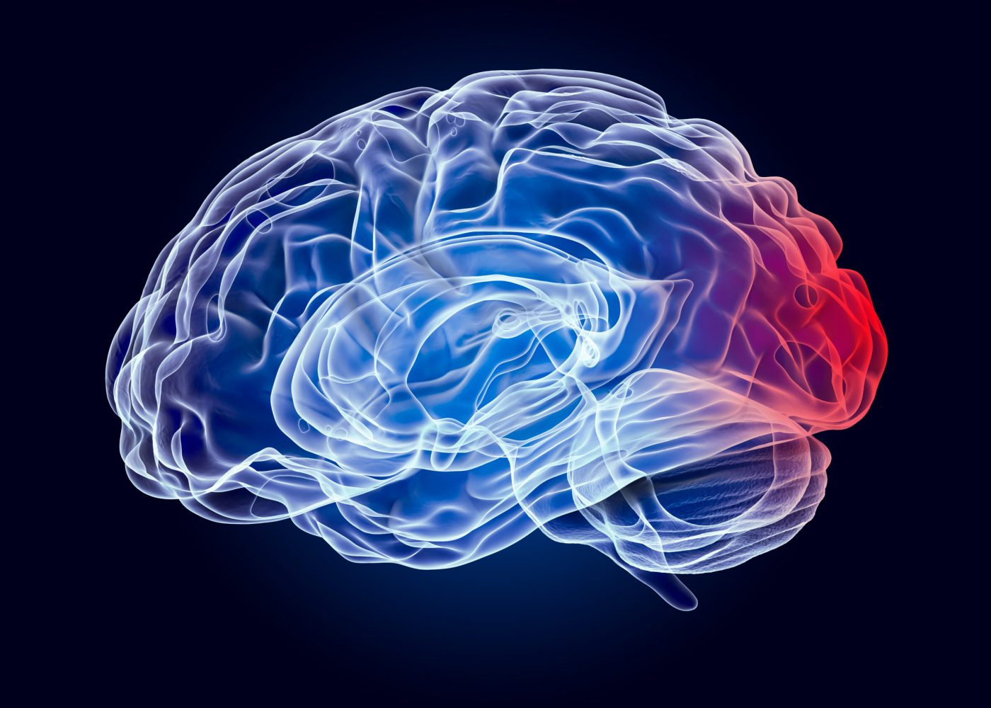 Brain, disease of occipital lobe concept. 3D rendering